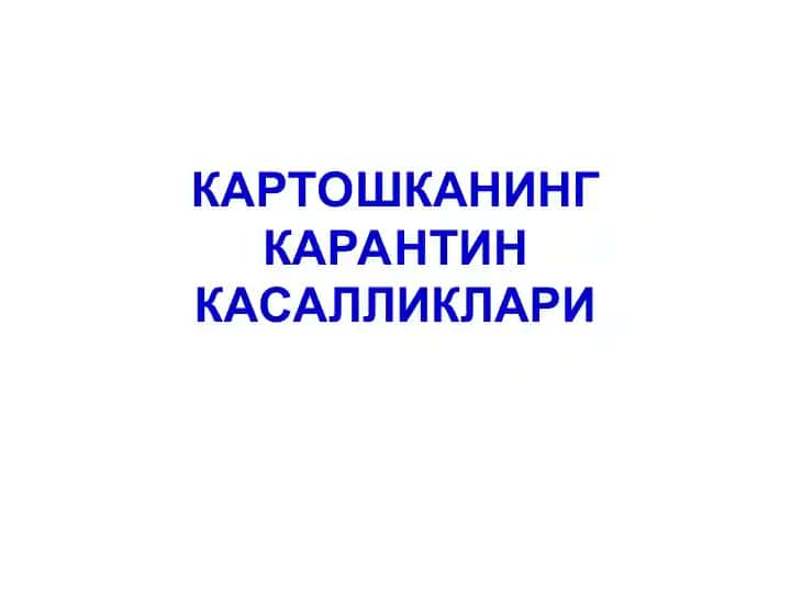 Kartoshkaning karantin kasalliklari
