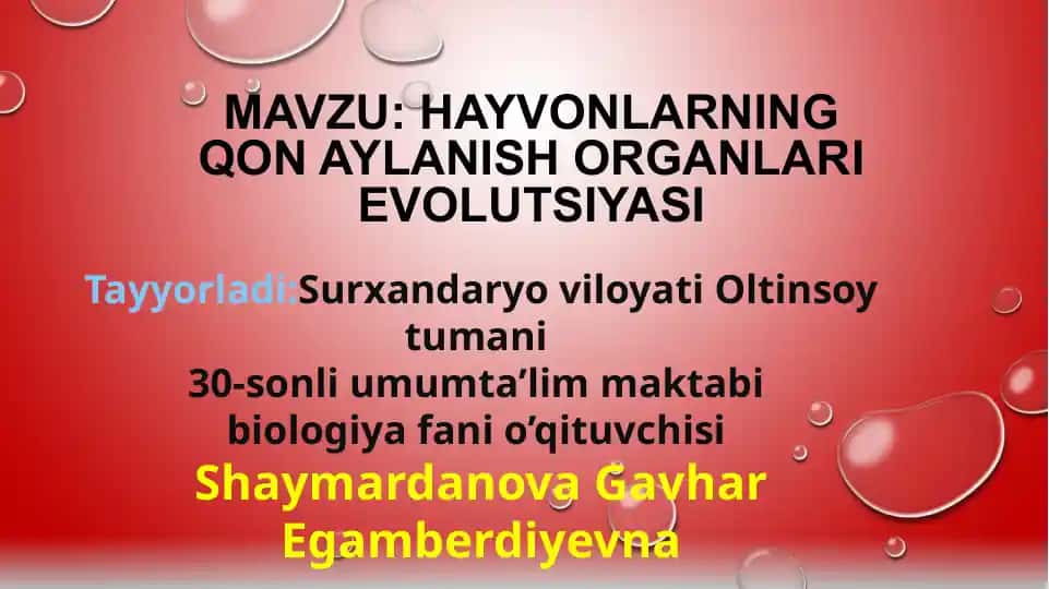 Hayvonlarning Qon Aylanish Organlari Evolutsiyasi