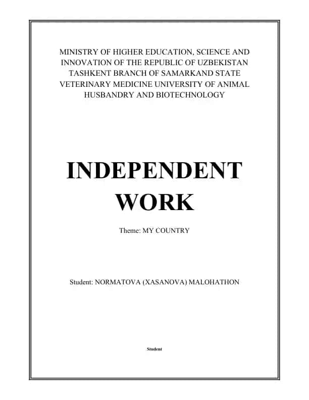 Independent Work: MY COUNTRY