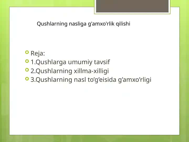Qushlar haqida taqdimot