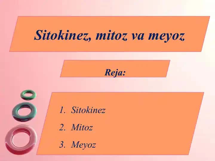 Sitokinez, mitoz va meyoz