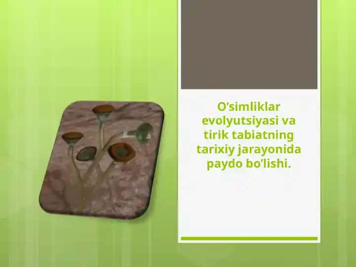 O’simliklar evolyutsiyasi