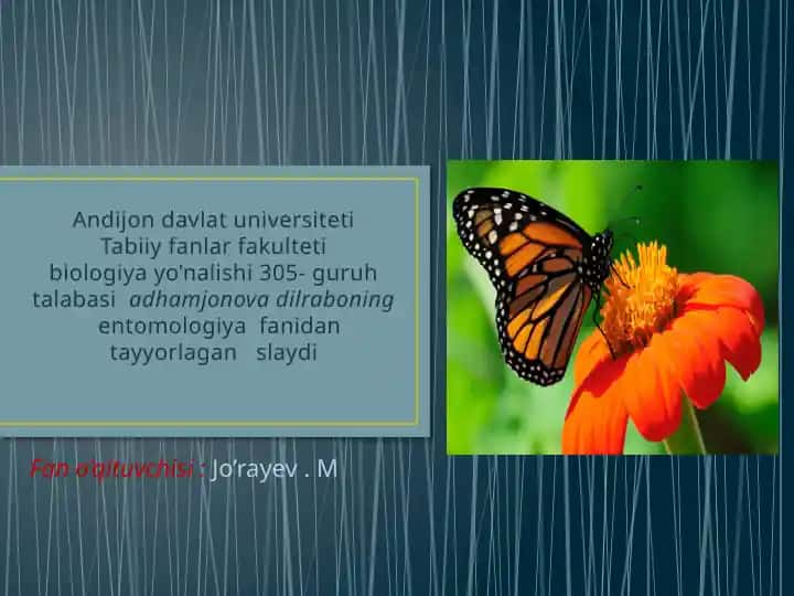 Qizilkitob