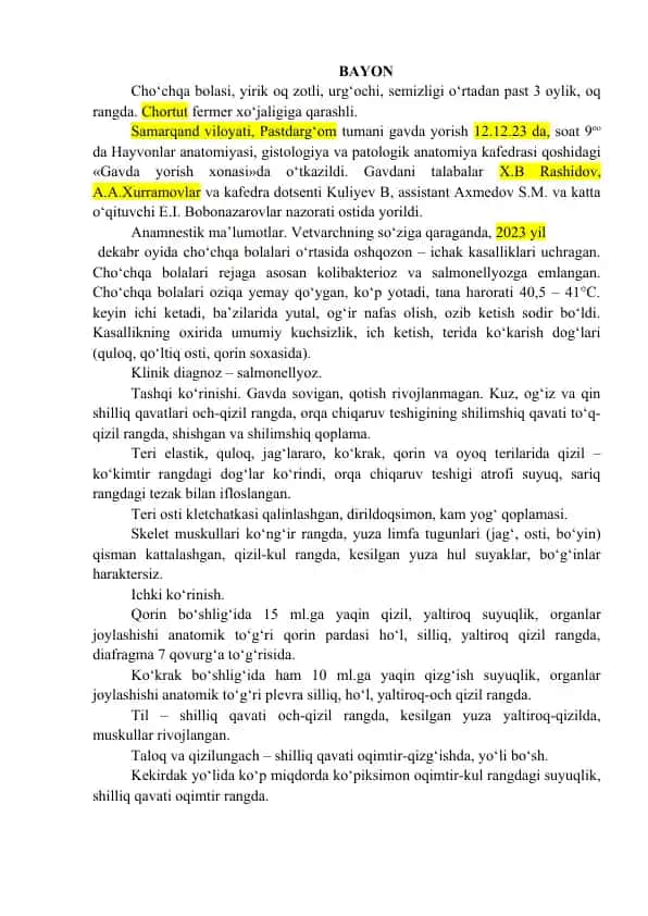 Cho‘chqa bolasi
