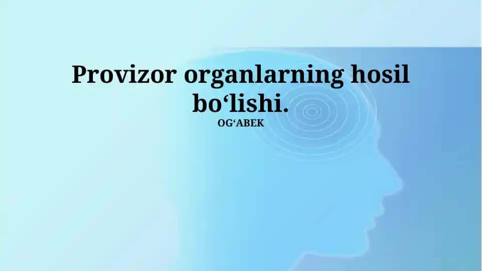 Vaqtinchalik organlarning hosil bo‘lishi