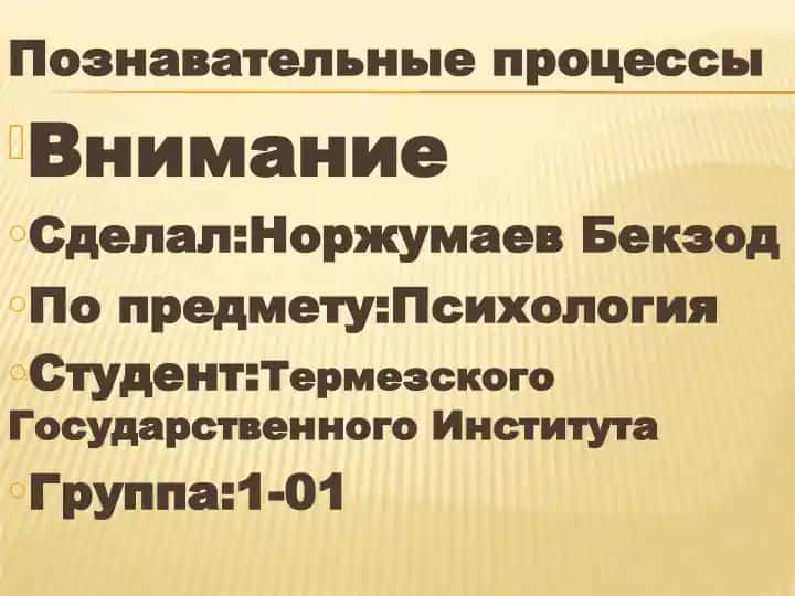 Познавательные процессы
