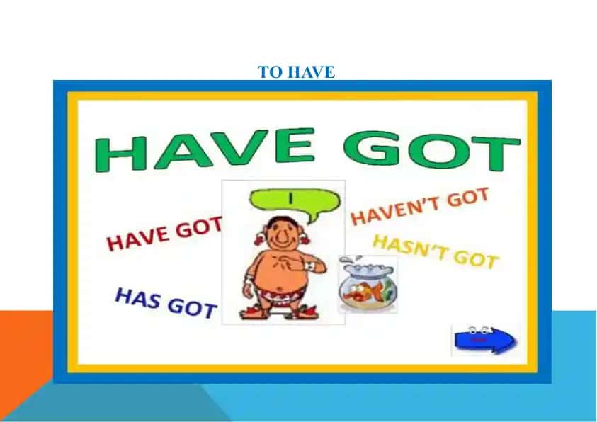 HAVE GOT
