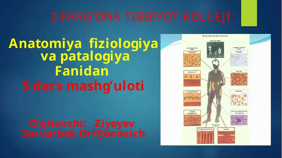 Anatomiya, fiziologiya va patalogiya mashg'ulotlari