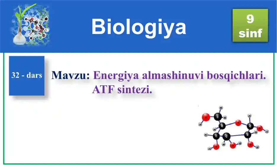 Energiya almashinuvi bosqichlari