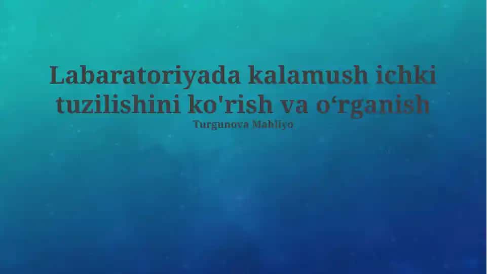 Labaratoriyada kalamush ichki tuzilishini ko'rish va o‘rganish