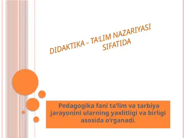 Didaktika - Ta'lim nazariyasi sifatida