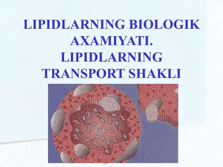 LIPIDLАRNING BIOLOGIKАXАMIYATI. LIPIDLАRNING TRАNSPORTSHАKLI