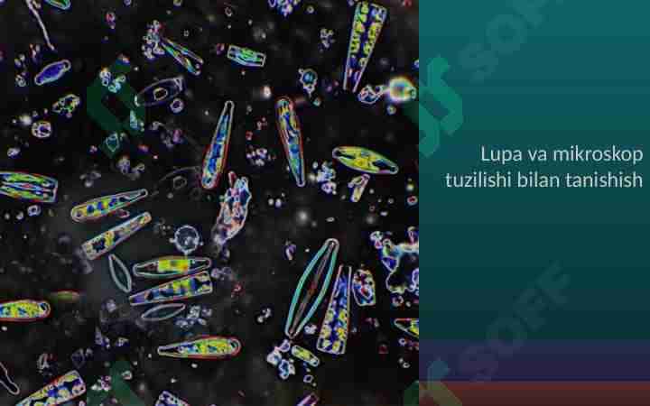 Lupa va mikroskop tuzilishi bilan tanishish