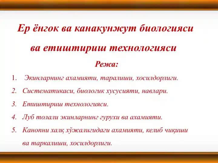 Ер ёнгок ва канакунжут биологияси ва етиштириш технологияси