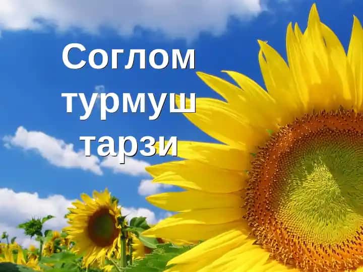Соглом турмуш тарзи