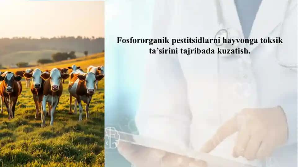 Fosfororganik pestitsidlar