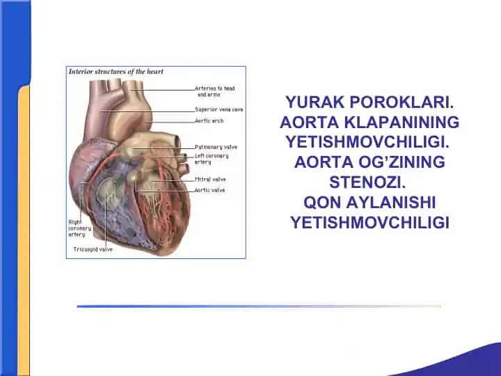 YURАK POROKLАRI.АORTАKLАPАNINING YETISHMOVCHILIGI.АORTАOGʼZININGSTENOZI.QONАYLАNISHI YETISHMOVCHILIGI
