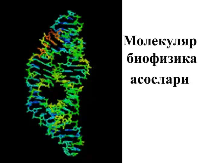 Молекуляр биофизика асослари