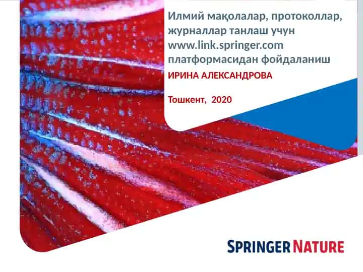 Springer