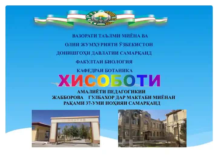 Амалиёти Педагогикии