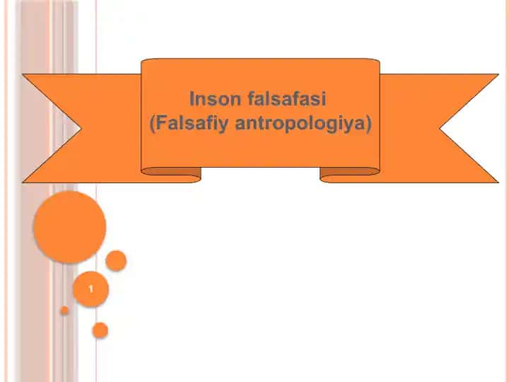 Insonfalsafasi