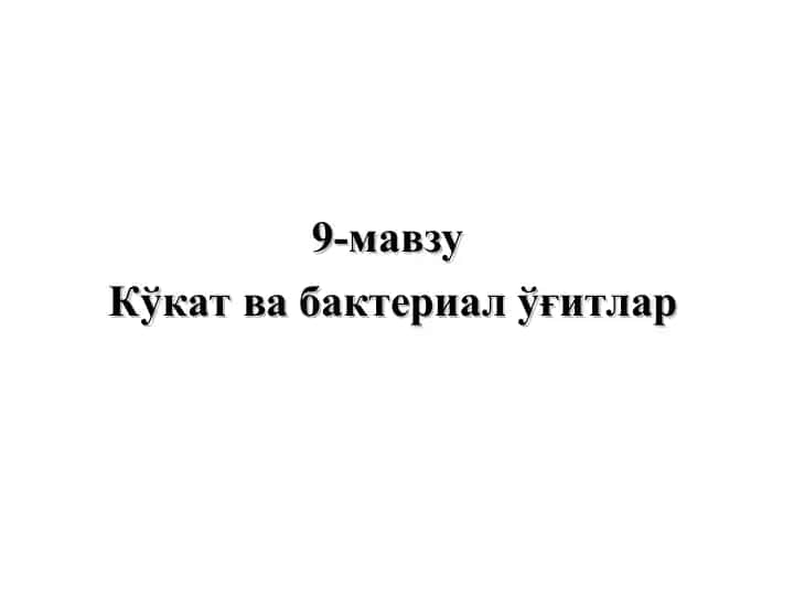 Kўkat vа bakterial ўғitlar