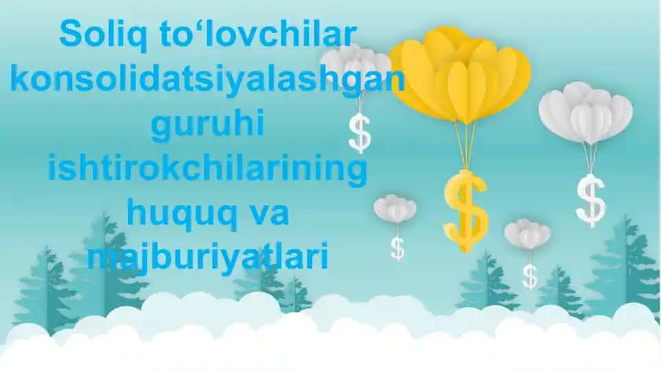 Soliq to‘lovchilarning konsolidatsiyalashgan guruhi ishtirokchilarining huquq va majburiyatlari
