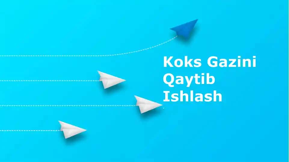 Koks Gazini Qaytib Ishlash