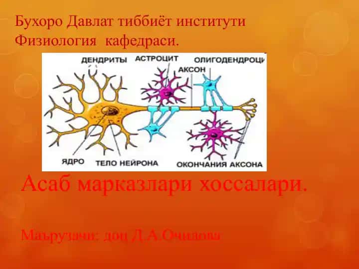 Асаб марказлари хоссалари