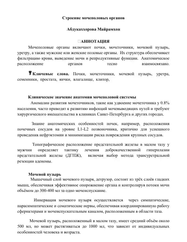 Строение мочеполовых органов