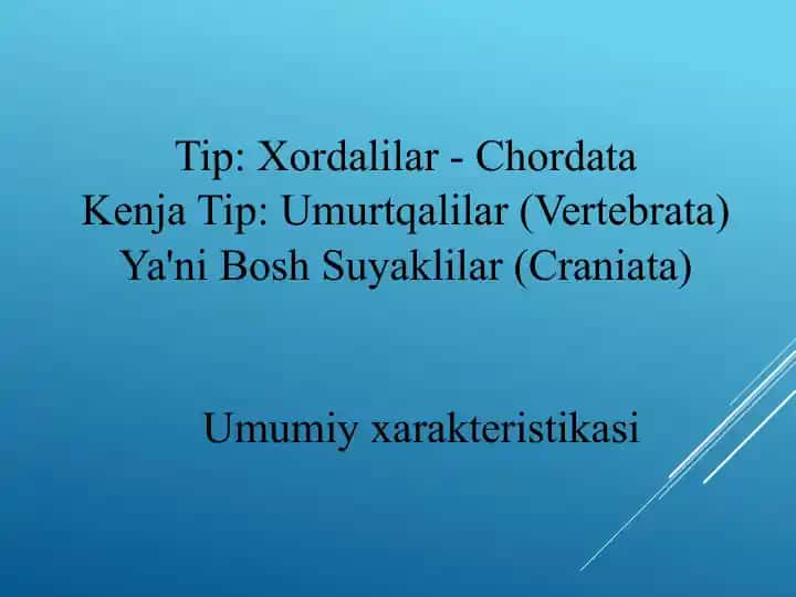 Umurtqalilar (Vertebrata)