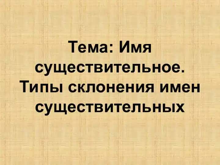 Имя существительное. Типы склонения имен существительных