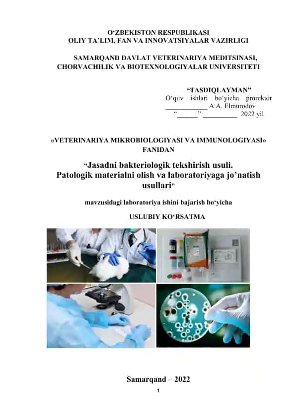 Jasadni bakteriologik tekshirish usuli. Patologik materialni olish va laboratoriyaga jo’natish usullari