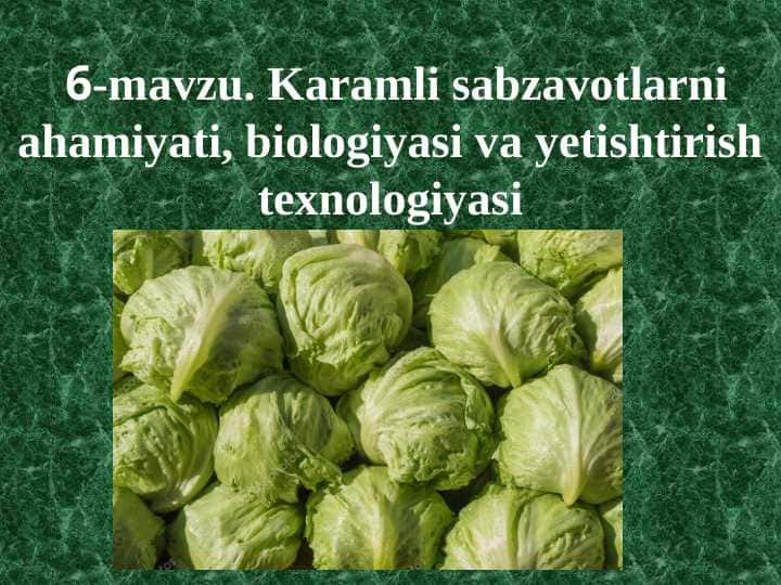 Karamli sabzavotlarni ahamiyati, biologiyasi va yetishtirish texnologiyasi
