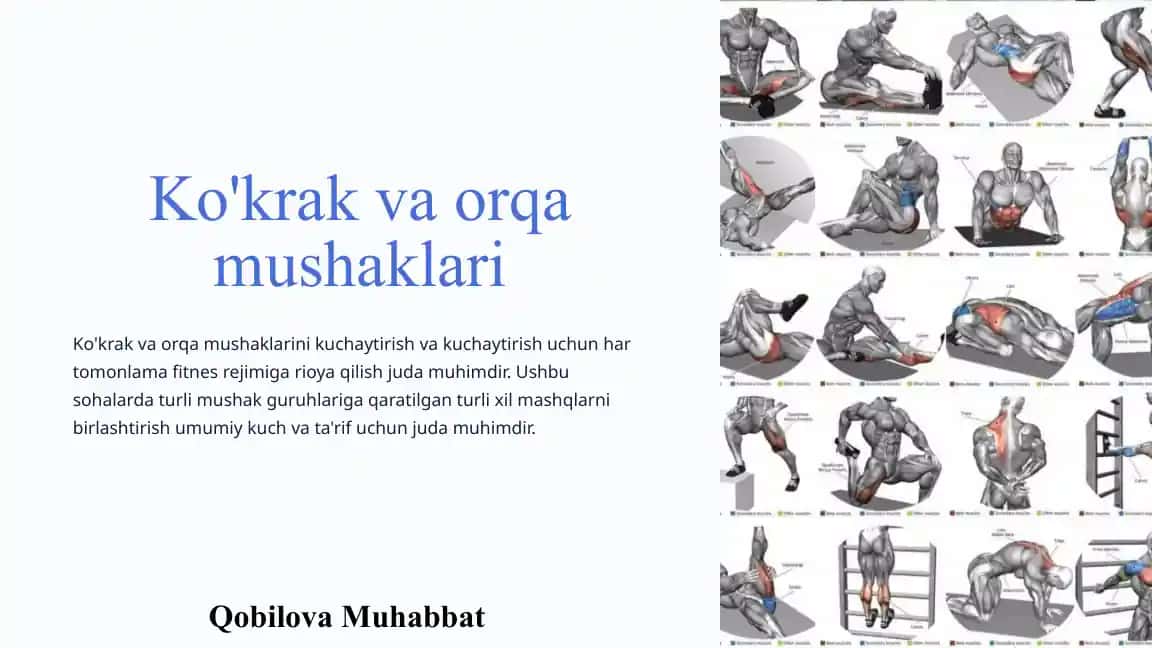 Ko'krak va orqa mushaklari