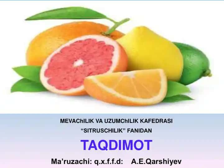 SITRUS MEVALI DARAXTLARNI KESISH VA SHAKL BERISH