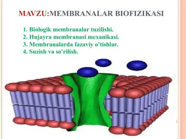 MEMBRANALAR BIOFIZIKASI