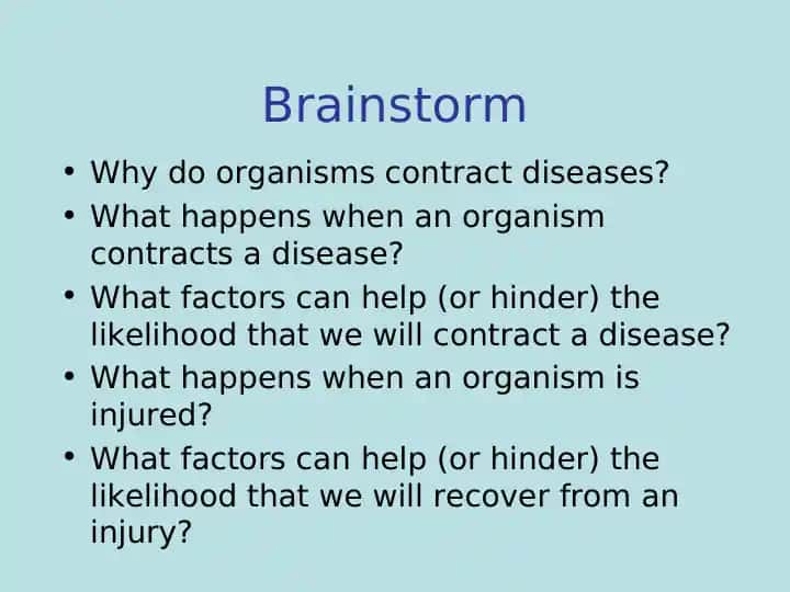 Basic Organization and Function of the Immune System