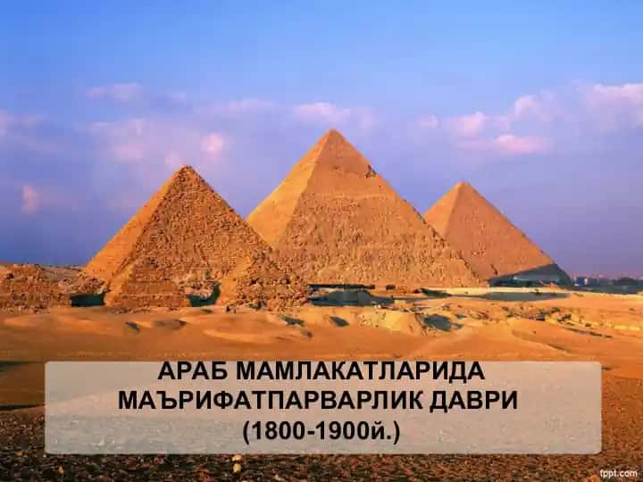 "Ан-Наҳда" ҳаракати