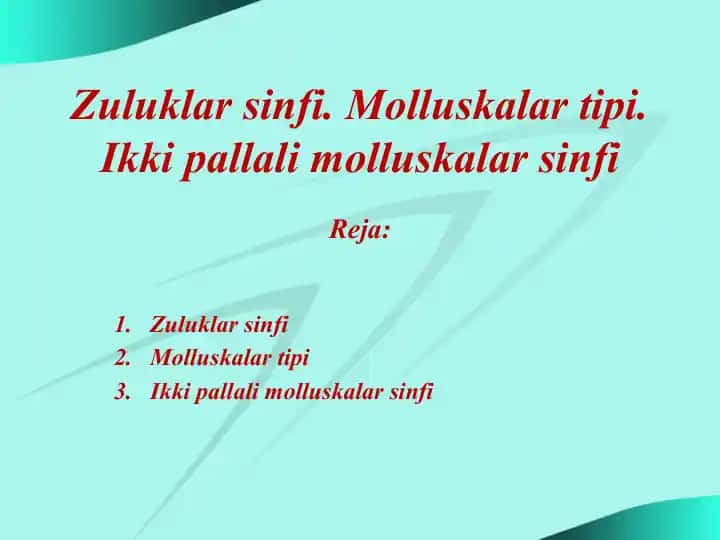 Zuluklar sinfi