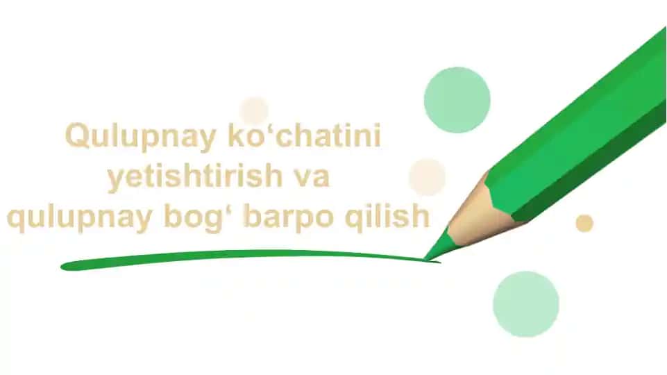 Qulupnay koʻchatini yetishtirish va bog' barpo etish