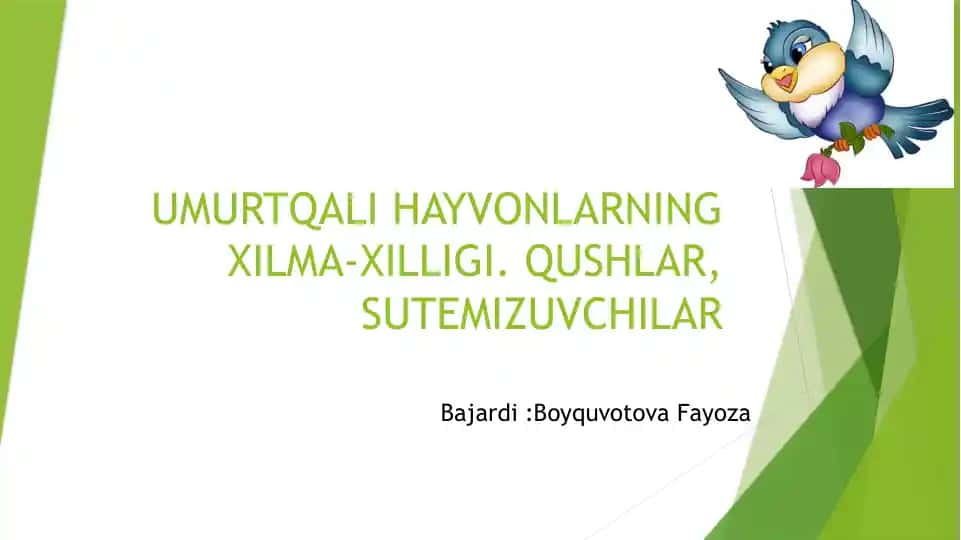 UMURTQALI HAYVONLARNING XILMA-XILLIGI. QUSHLAR, SUTEMIZUVCHILAR