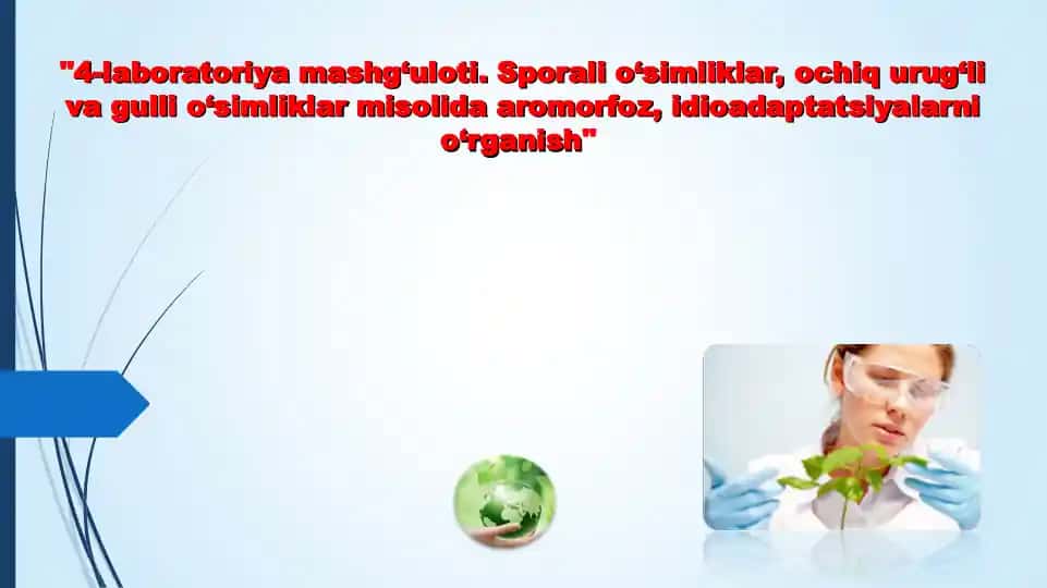 4-laboratoriya mashg‘uloti. Sporali o‘simliklar, ochiq urug‘li va gulli o‘simliklar misolida aromorfoz, idioadaptatsiyalarni o‘rganish