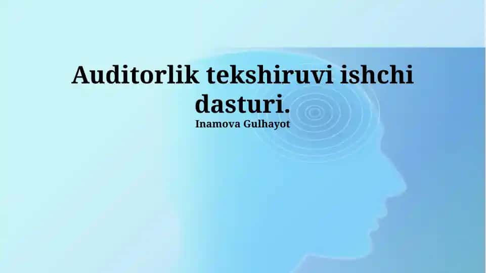 Auditorlik ishchi dasturi