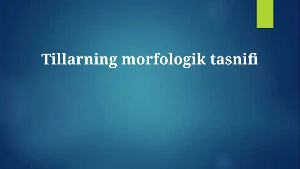 Tillarning morfologik tasnifi