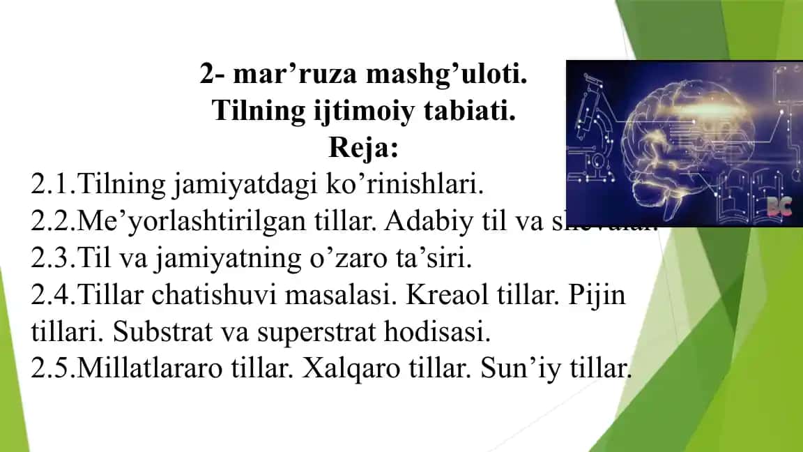 Tilning ijtimoiy tabiati.