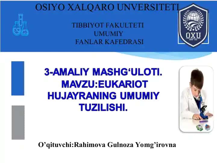 Hujayralarning Bo'linishi