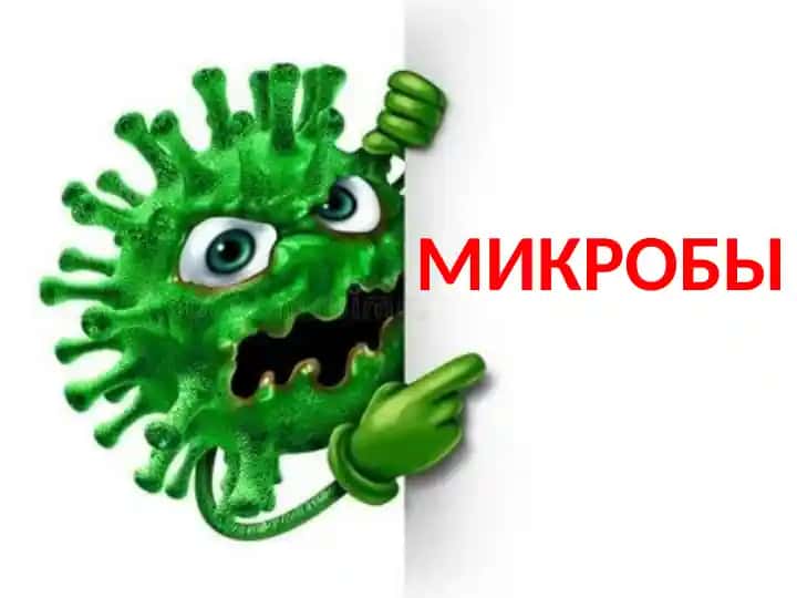 Mikroby