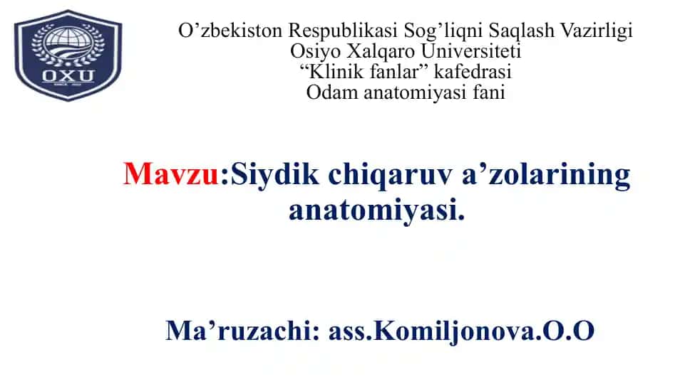 Siydik chiqaruv a’zolarining anatomiyasi