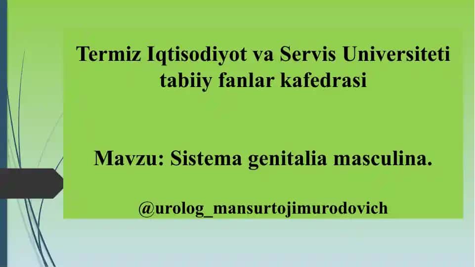 Termiz